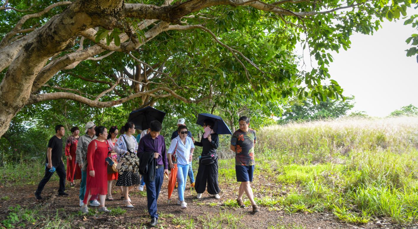 吉玛国际布局菲律宾高端地产